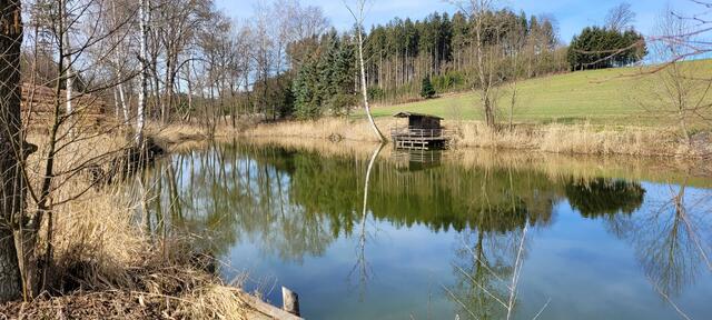 Weiher am Wanderweg im Tal | Foto: Dr. Hubert Raab
