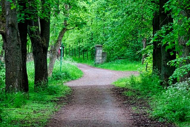 Blick vom Fürstenweg zum Eingang Schlosspark