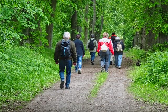 auf dem Fürstenweg