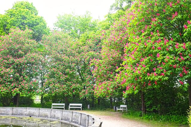 im Schlosspark