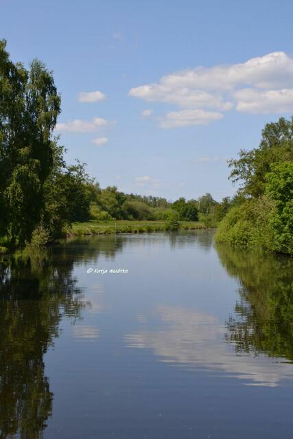 Rund ums Steinhuder Meer - Rhododendronblüte im Hagenburger Schlosspark

Hagenburger Kanal zum Steinhuder Meer

(Foto: Katja Woidtke)