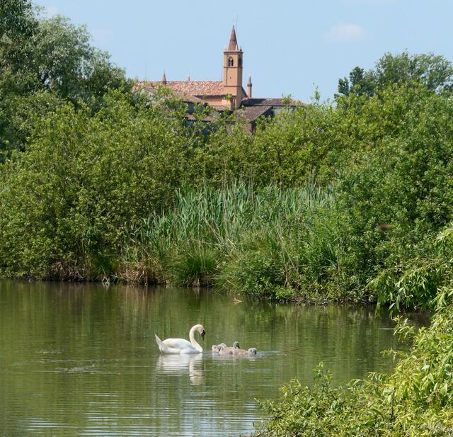 Der Borgo di Grazie gehört zur Gemeinde Curtatone. Direkt an einer Biegung des Mincio erhebt sich dort das "Santuario Beata Vergine delle Grazie". Unterhalb der Kirche befindet sich die Anlegestelle für die Ausflugsboote in das Naturreservat.