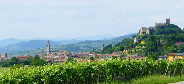 Letzte Etappe:  das vollständig von einer Mauer umringte Weißweinstädtchen Soave. Im Norden reicht der Blick an klaren Tagen zu den Hügeln der Monti Lessini und bis zu den Alpen. Rechts führt der Weg in die berühmte Rotweinzone des Valpolicella.