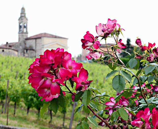 Vom Frühstückstisch auf der rosengeschmückten Terrasse ist der Blick auf den kleinen Borgo und auf die Burg von Soave unbezahlbar