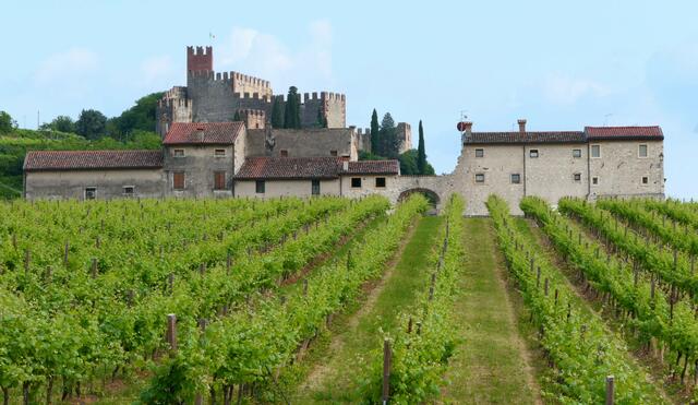 Auch dieser malerische Blick auf den Weinberg vor dem Borgo bietet sich von der Locanda aus