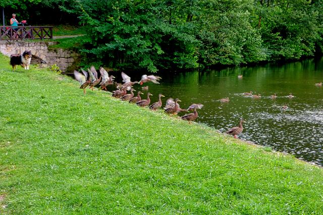 am Schlossteich