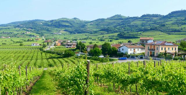 Das Hinterland Soaves vom Hügel des Ex-Convento Benedettino aus gesehen. Rechts die Locanda an der Via Bassano.