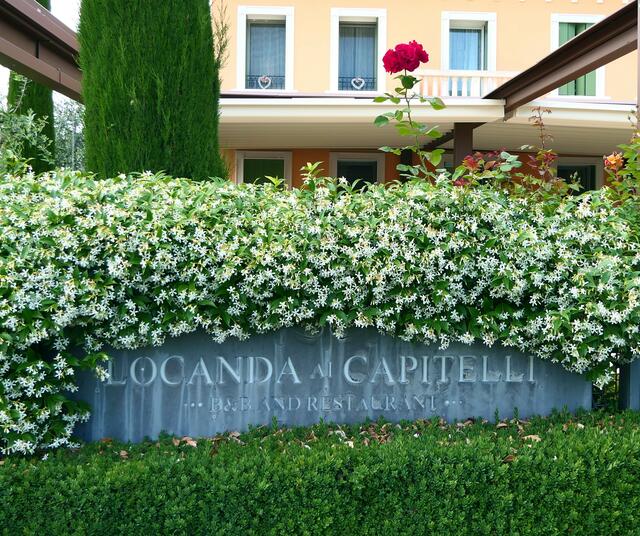 Die "Locanda Ai Capelli", in der wir vor 10 Jahren beim Weinfest im Herbst erstmals wohnten, liegt nur einen Katzensprung außerhalb der Stadtmauern