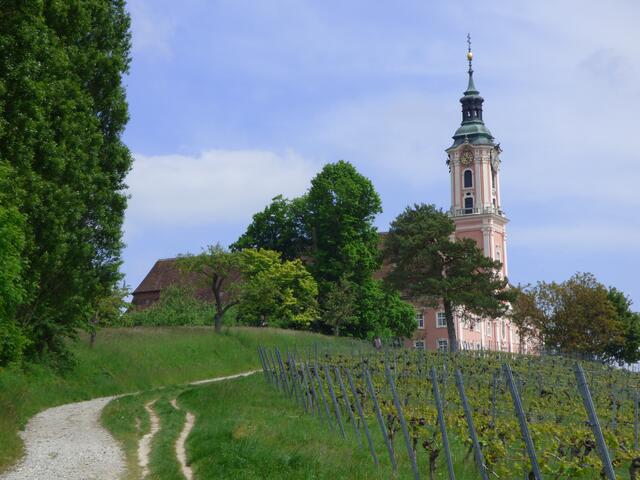 In die Weinberge eingebettet.