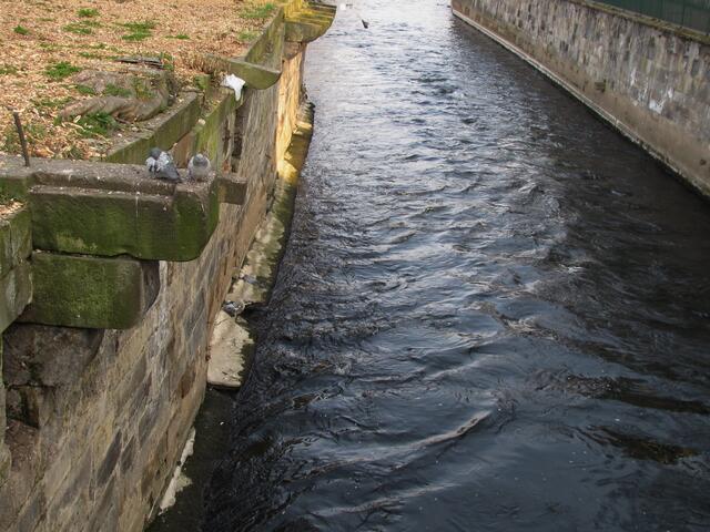 Die nicht brauchbaren Reste wurden in der Eilenriede oder der Leine entsorgt. Als darin später mehrere Totenschädel gefunden wurden, fiel der Verdacht auch auf Haarmann.