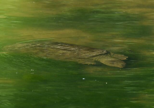 Foto: Copyright Andreas Schäfer