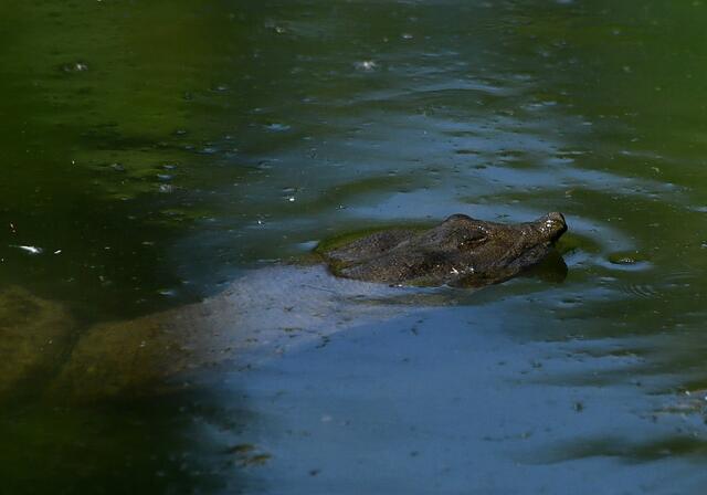 Foto: Copyright Andreas Schäfer