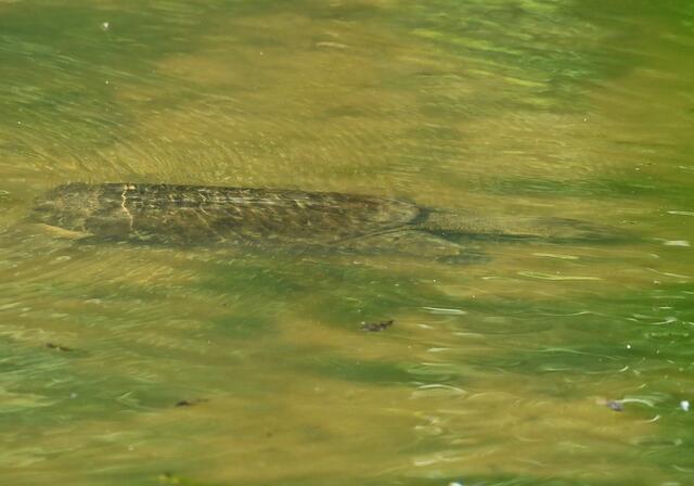 Foto: Copyright Andreas Schäfer