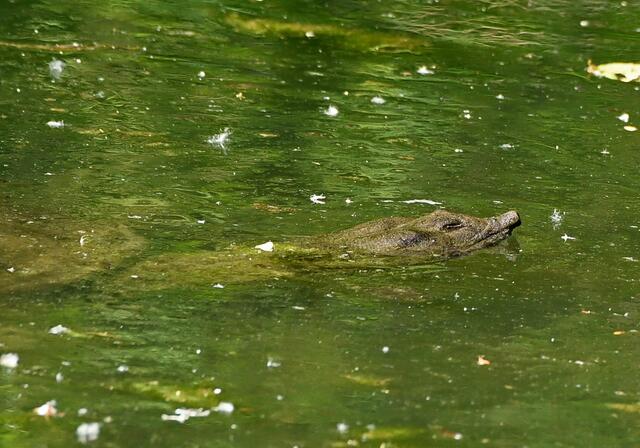 Foto: Copyright Andreas Schäfer