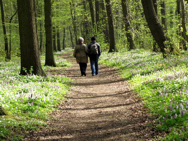 Darin lauerte er ahnungslosen Leuten auf, die Gewinn versprachen. Natürlich konnte er nicht wissen, ob diese tatsächlich Geld oder Wertsachen dabei hatten. Aber erstmal von Weitem abknallen, das war seine Devise. Nachgucken konnte man ja dann immer noch.