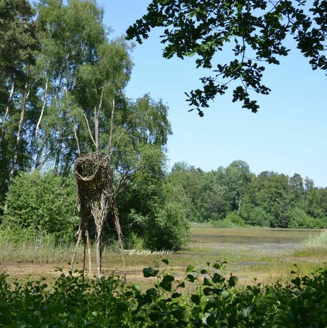 Rund um den Würmsee im Juni

(Foto: Katja Woidtke)