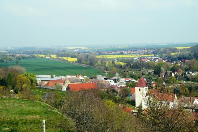 Blick vom Aussichtsturm in das Wippertal  