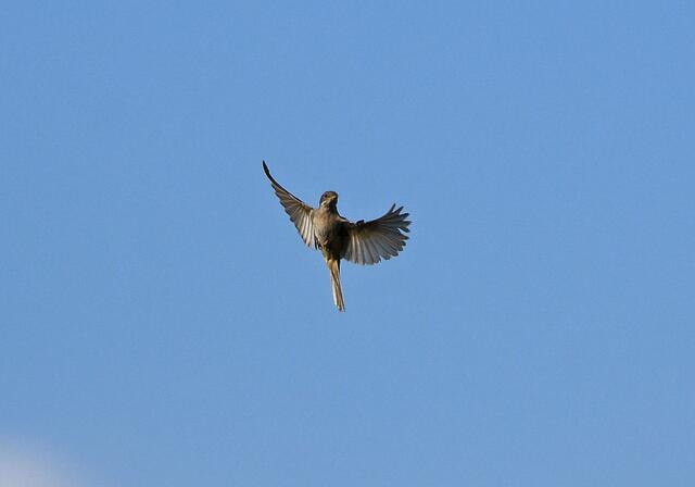 Foto: Copyright Andreas Schäfer