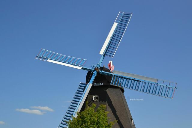 Mühlenmontag

Mühle Paula in Steinhude

(Foto: Katja Woidtke)