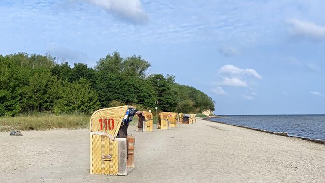 Am Strand oder auf dem Weg durch den Küstenwald geht es in den Badeort Schwarzer Busch.