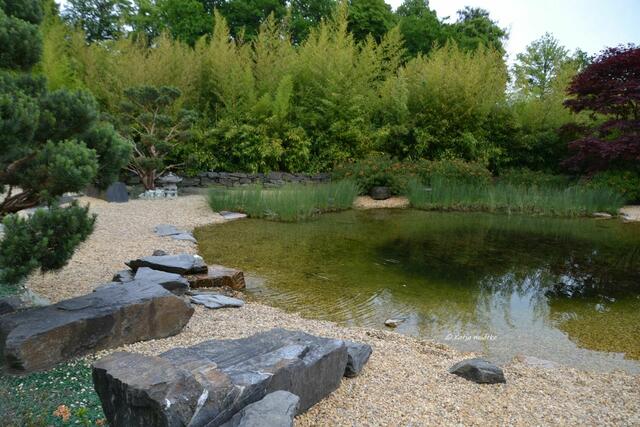 Parks und Gärten in Niedersachsen - Kurpark von Bad Pyrmont

(Foto: Katja Woidtke)