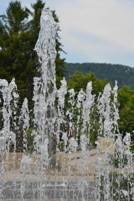 Parks und Gärten in Niedersachsen - Kurpark von Bad Pyrmont

(Foto: Katja Woidtke)