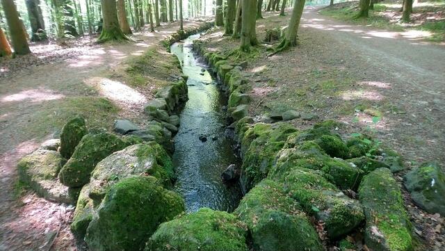 Am Wasserlauf geht es weiter zum Steinhöfer Wasserfall.