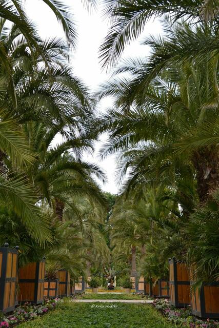 Parks und Gärten in Niedersachsen - Kurpark von Bad Pyrmont

(Foto: Katja Woidtke)