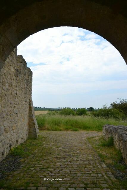 Ausflüge in Niedersachsen

Auf den Spuren der Könige an der Pfalz Werla

(Foto: Katja Woidtke)