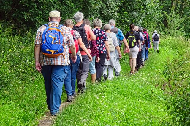 am Südufer des Ölgrundteiches | Foto: Gerd Horenburg
