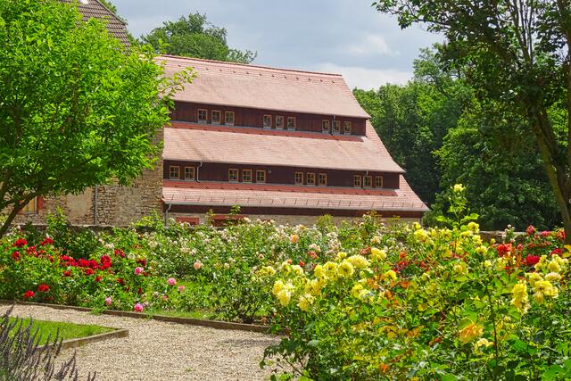 im Klostergarten Oberwiederstedt | Foto: Gerd Horenburg