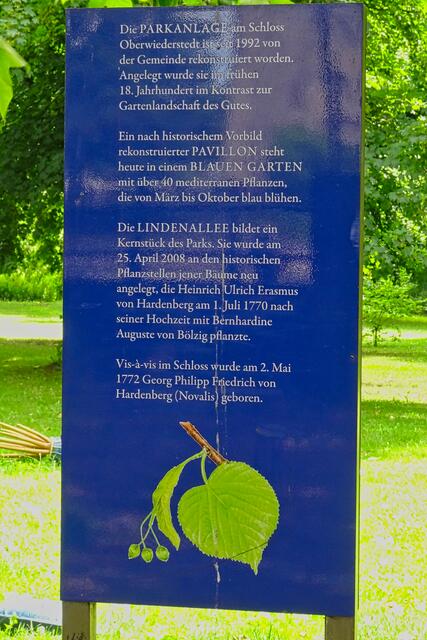 Informationstafel im Schlosspark Oberwiederstedt über die neu geschaffene  Lindenallee | Foto: Gerd Horenburg