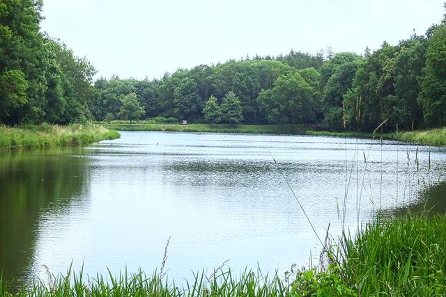 Ölgrundteich | Foto: Gerd Horenburg