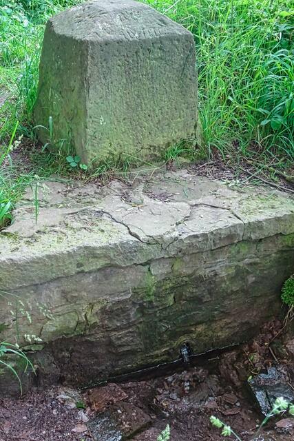 Adelheidquelle bei Walbeck | Foto: Gerd Horenburg