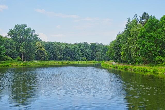 Ölgrundteich | Foto: Gerd Horenburg