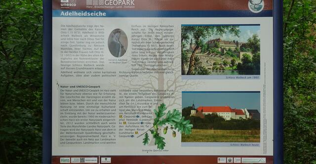 Informationstafel an der Adelheitseiche | Foto: Gerd Horenburg