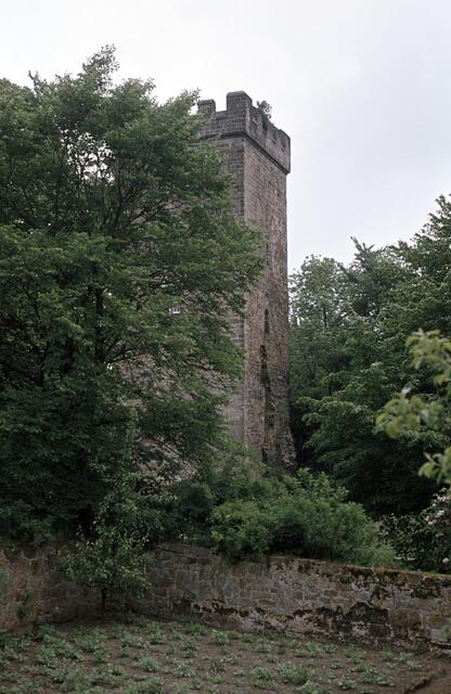 Ruine der Burg Wohldenberg