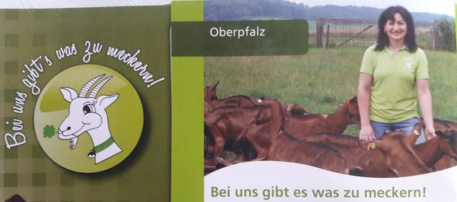 Foto: M. Heilander