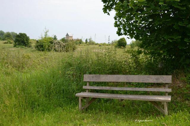 Ausflüge in Niedersachsen

Auf den Spuren der Könige an der Pfalz Werla

(Foto: Katja Woidtke)