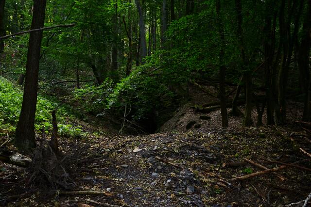 Im Wald kommt man an einem Höhleneingang vorbei.