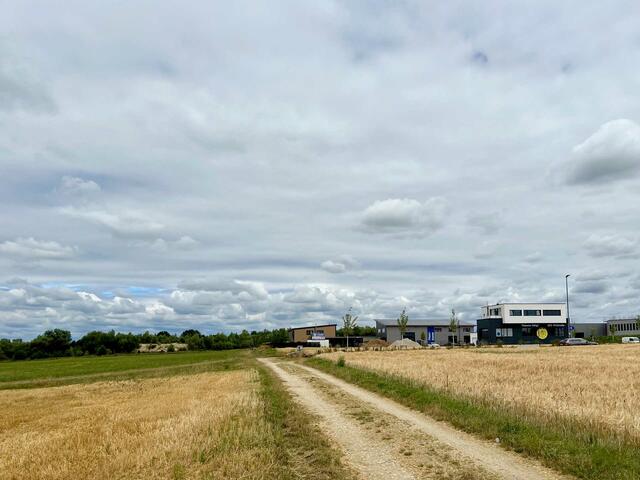 Hier soll die neue Straßenanbindung des Gewerbegebietes angelegt werden.