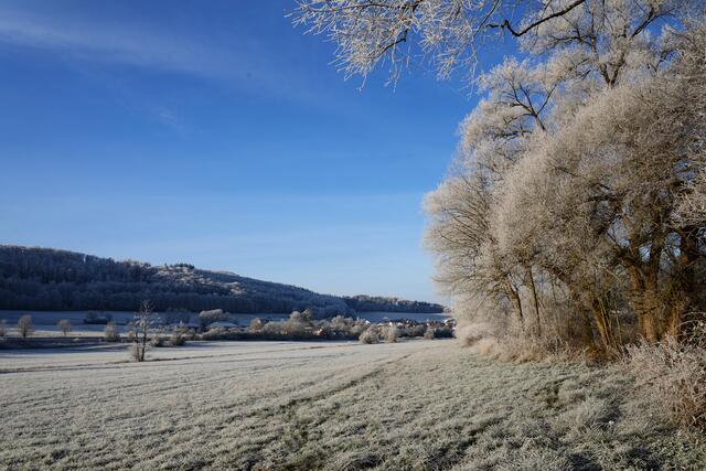 Rechts hinter den Bäumen fließt die Salzböde