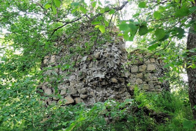 Mauerreste der Heinrichsburg