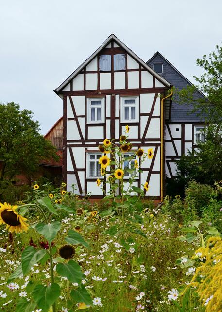 Die Schönemühle in Salzböden.