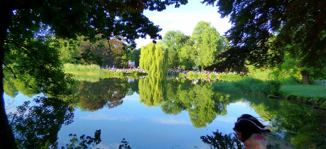 Blick über den Teich