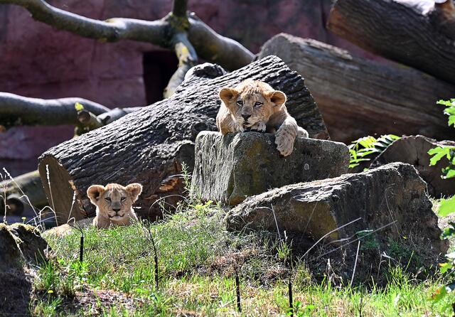 Puh - nun erst einmal etwas ausruhen und die Menschen beobachten.