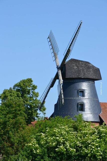 Mühlenmontag

Turmholländer in Loccum

(Foto: Katja Woidtke)