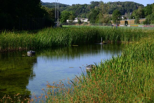 Hier wird das Wasser aufbereitet und wieder in das Becken geleitet.