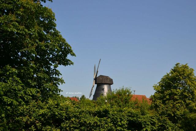 Mühlenmontag

Turmholländer in Loccum

(Foto: Katja Woidtke)