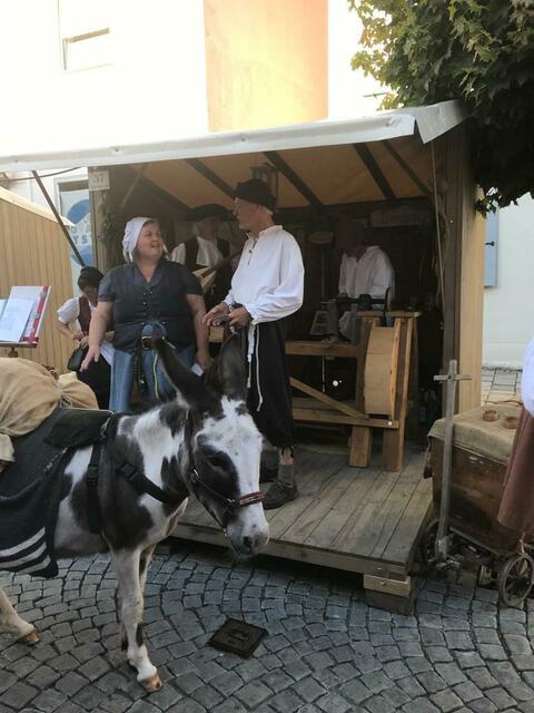 Brav war der Esel, der sich vor dem Stand der Knopfmanufaktur aufhielt. | Foto: Wolfgang Baiter